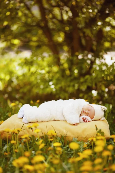 Спляча дитина на великій жовтій подушці в квітковому полі — стокове фото
