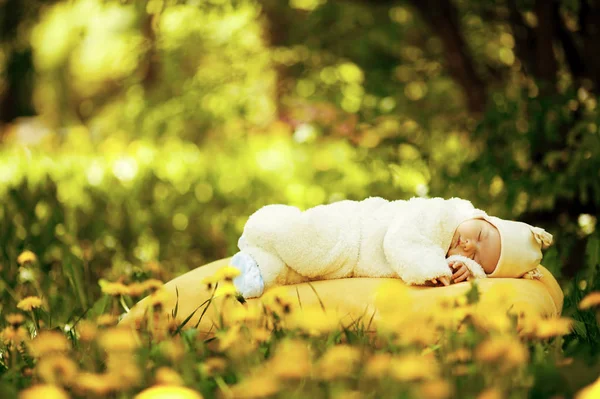 Sleeping baby on big yellow pillow in flowers field — Stock Photo, Image