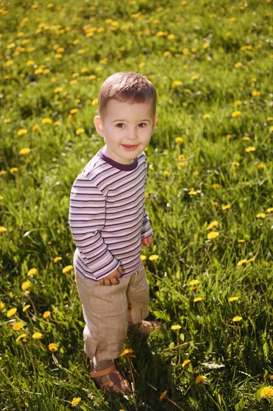 Menino no prado de dente-de-leão da primavera — Fotografia de Stock