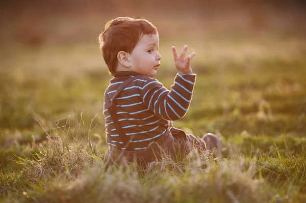 Pequeno menino bonito no campo — Fotografia de Stock