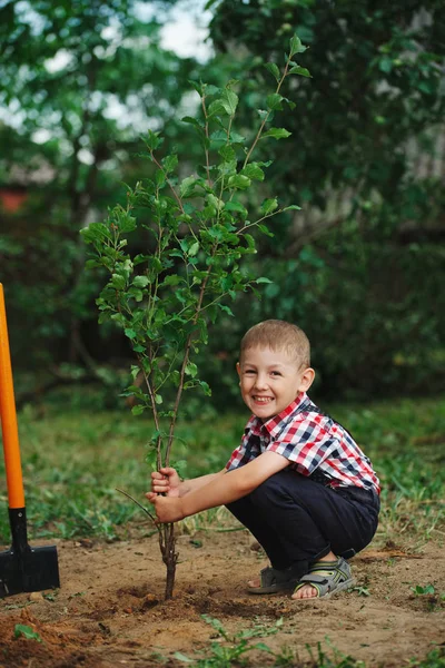 kürek bahçede ile küçük komik çocuk