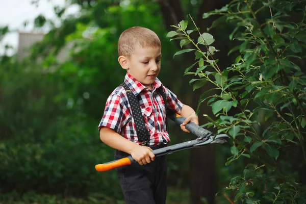 Boy cuts off branches of the shrub shears — Stock Photo, Image