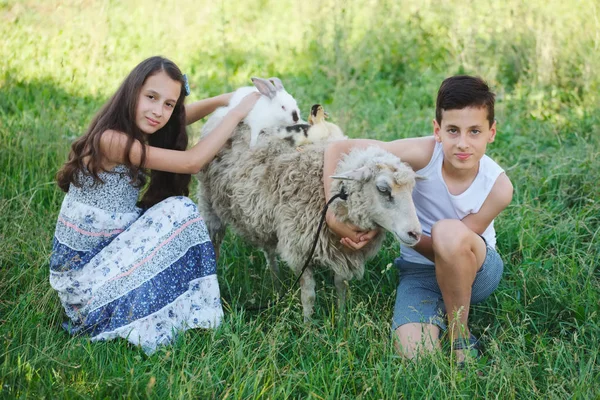 Brother and sister spend summer in village — Stock Photo, Image