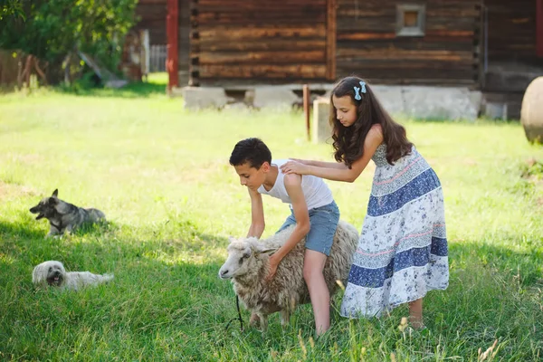 Kız ve erkek kardeşim Köyü yaz geçirmek — Stok fotoğraf