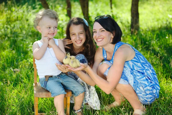 Família com pouco patinho amarelo no parque de verão — Fotografia de Stock