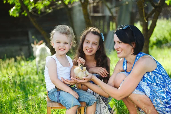 Família com pouco patinho amarelo no parque de verão — Fotografia de Stock