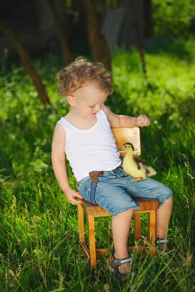 夏の村で小さな黄色いアヒルの子を持つ少年 — ストック写真