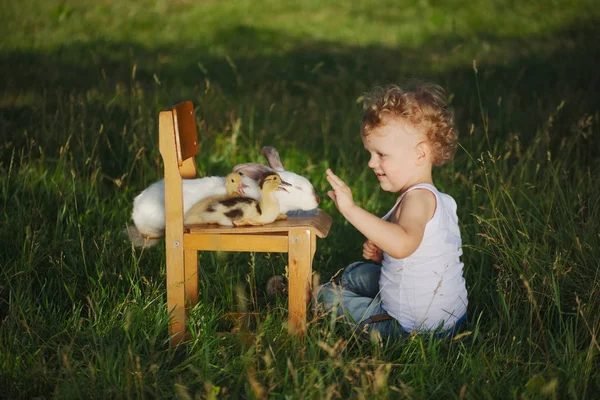 Niño con patito amarillo y conejo en el pueblo de verano —  Fotos de Stock