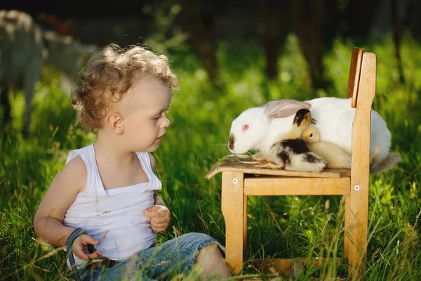 Boy with yellow duckling and rabbit in summer village — Stock Photo, Image