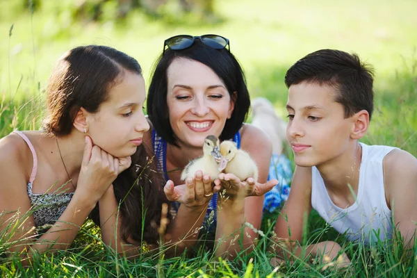 Семья с маленьким желтым утенком в летнем парке — стоковое фото