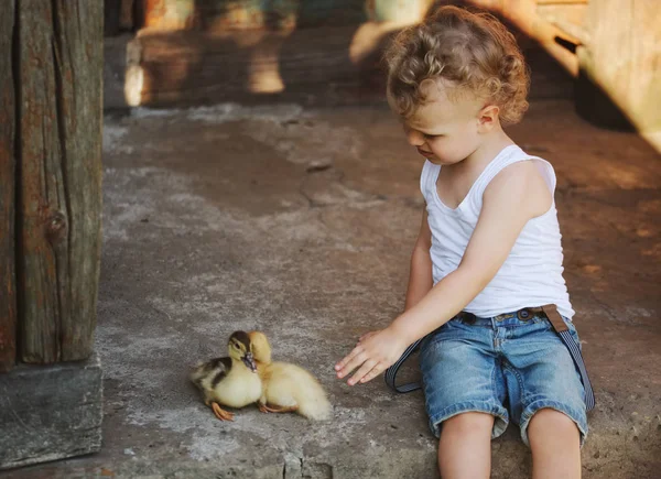 Menino com pouco patinho amarelo na aldeia de verão — Fotografia de Stock