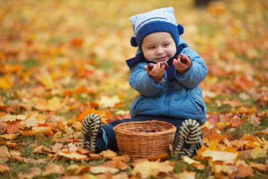 Sonbahar parkında küçük sevimli bir çocuk.