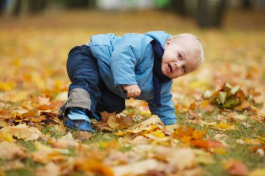 Sonbahar parkında küçük sevimli bir çocuk.