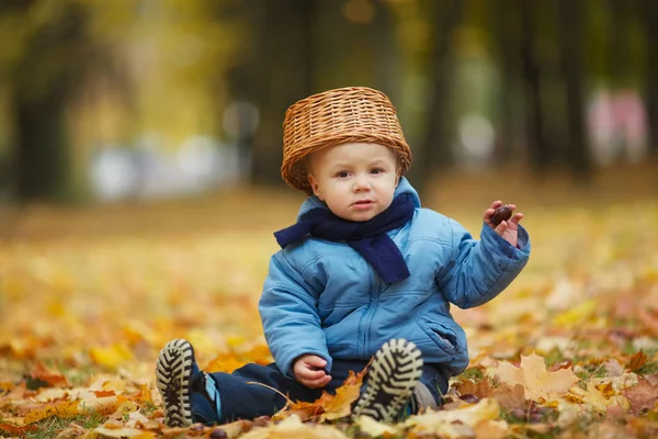 Menino bonito no parque de outono — Fotografia de Stock