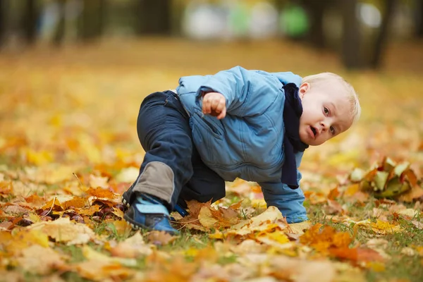 Mignon petit garçon dans le parc d'automne — Photo