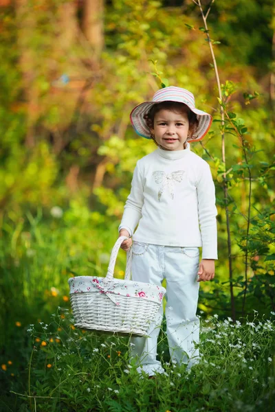 Little girl collecting plants in the forest — Stock Photo, Image