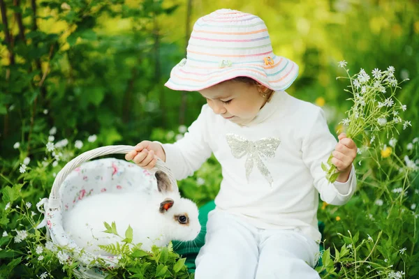 Beyaz tavşan ile sevimli küçük kız — Stok fotoğraf