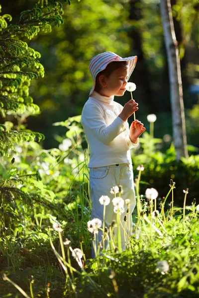 女孩与蒲公英中夏公园 — 图库照片