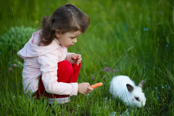 Mignonne petite fille avec lapin blanc — Photo