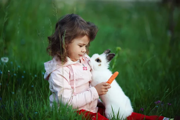 Niedliches kleines Mädchen mit weißem Kaninchen — Stockfoto