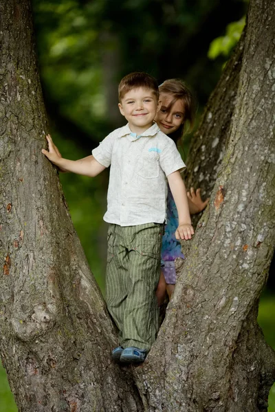 Garçon et fille grimper grand arbre — Photo