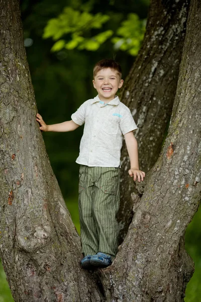 Chlapec šplhá velký strom v parku — Stock fotografie