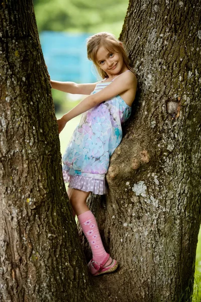 Девушка взбирается на большое дерево в парке — стоковое фото