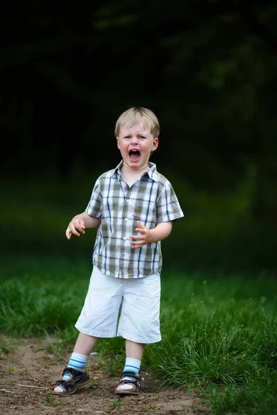 Jovem menino chorando no parque de verão — Fotografia de Stock