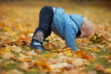 Sonbahar parkında küçük sevimli bir çocuk.