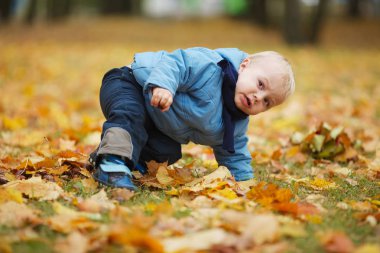 Sonbahar parkında küçük sevimli bir çocuk.