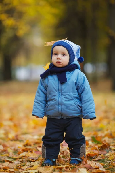 Schattig jongetje in de herfst park — Stockfoto