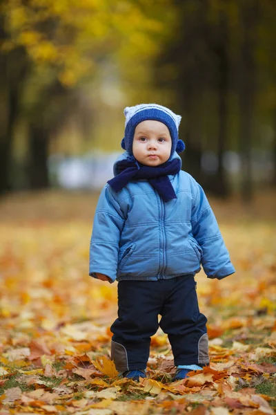 Χαριτωμένο μικρό αγόρι στο πάρκο φθινόπωρο — Φωτογραφία Αρχείου