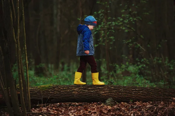 Little funny boy on big log — Stock Photo, Image