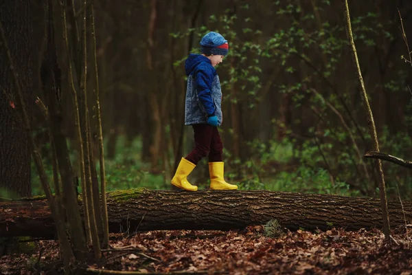 Little funny boy on big log — Stock Photo, Image