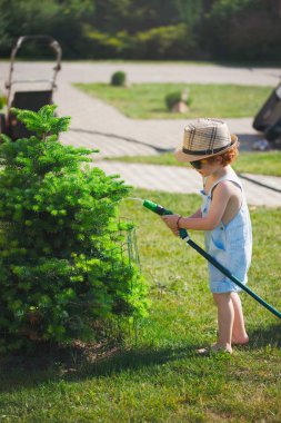 küçük çocuk bahçe hortumu ile sulama