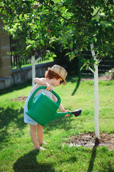 Little boy watering trees in summer garden — Stock Photo, Image