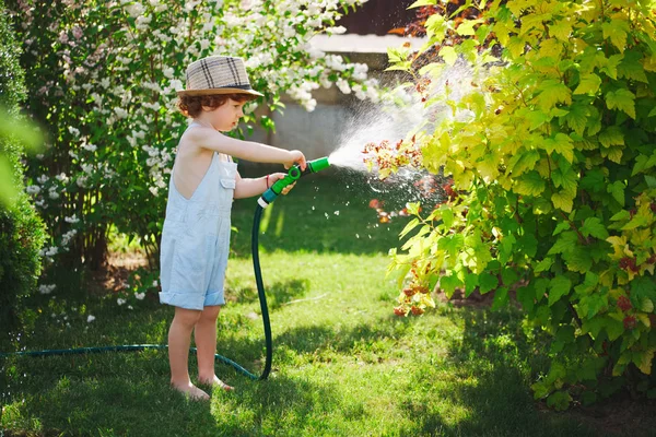 Malý chlapec, zalévání zahrady s hadicí — Stock fotografie