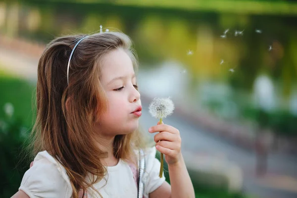 Niña con diente de león en el parque —  Fotos de Stock