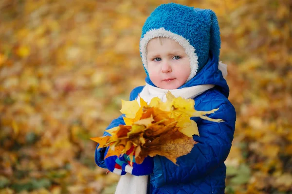 Gelukkig jongetje in het herfstpark — Stockfoto