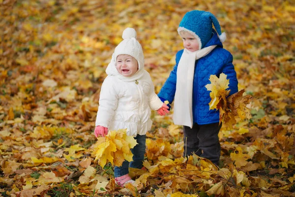 男孩和女孩在片秋色的公园 — 图库照片
