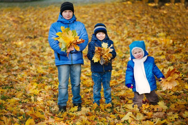 Хлопчики грають з кленовим листям у парку — стокове фото