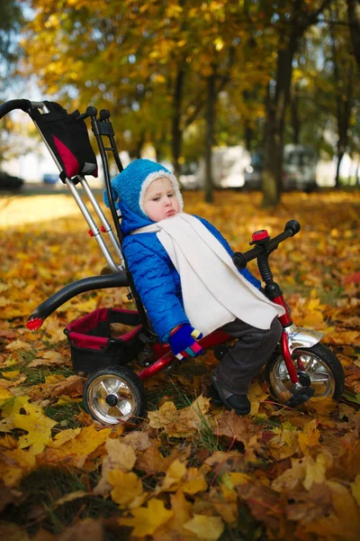 Маленький мальчик с велосипедом в осеннем парке — стоковое фото