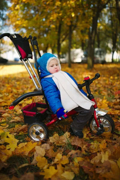 秋の公園で自転車の小さな男の子 — ストック写真