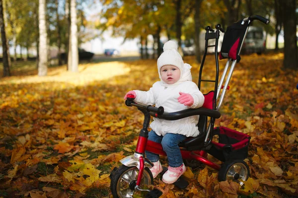 Söt liten flicka med cykel i park — Stockfoto