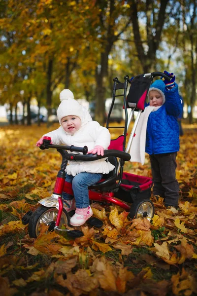 Niño y niña en el parque de otoño —  Fotos de Stock