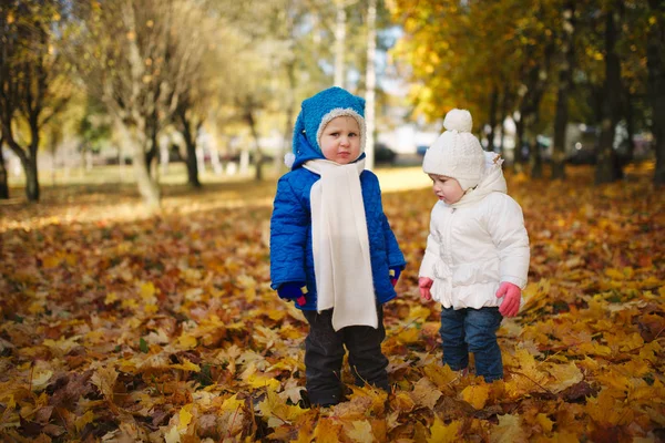 Хлопчик і дівчинка в осінньому парку — стокове фото