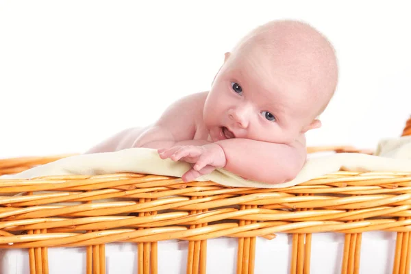 Симпатичный новорожденный в корзине — стоковое фото