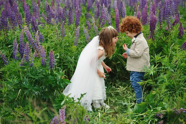 Two funny little bride and groom — Stock Photo, Image