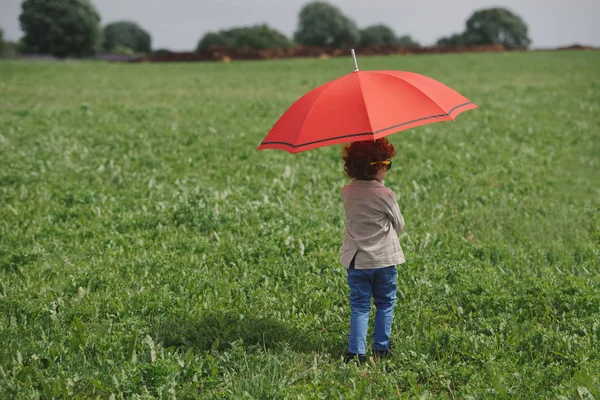 Little boy with red umbrella in summer field — Stock Photo, Image