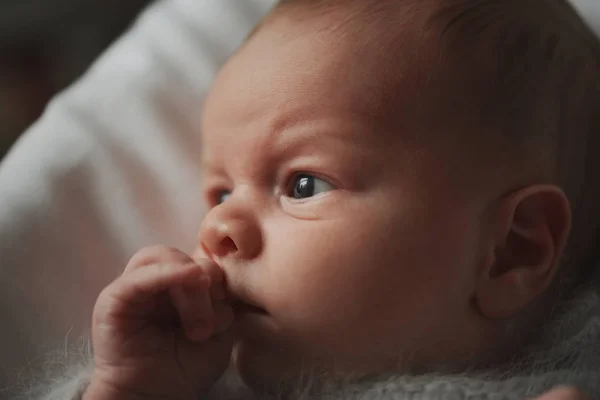 Porträt eines kleinen schönen Jungen — Stockfoto